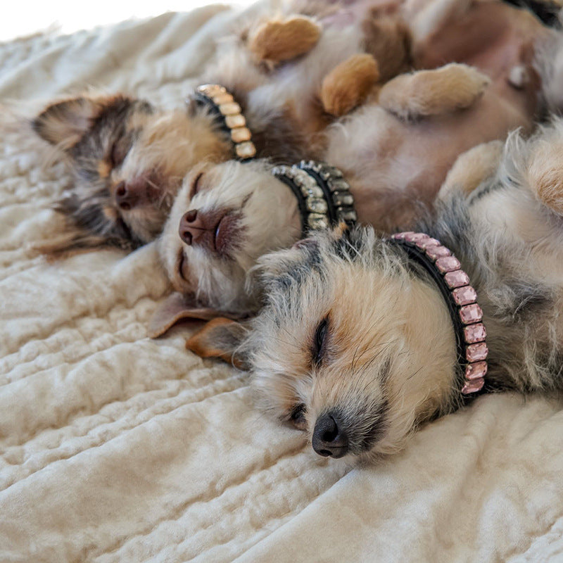 Luxury Dog Collar Rhinestone PU Leather Adjustable Collar